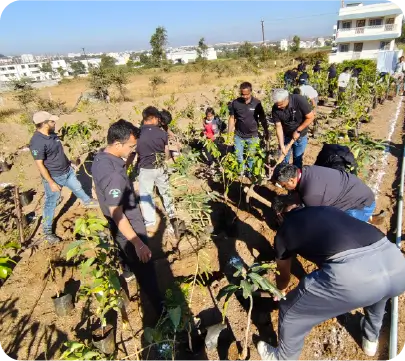 Team planting saplings in high-density Miyawaki layout 